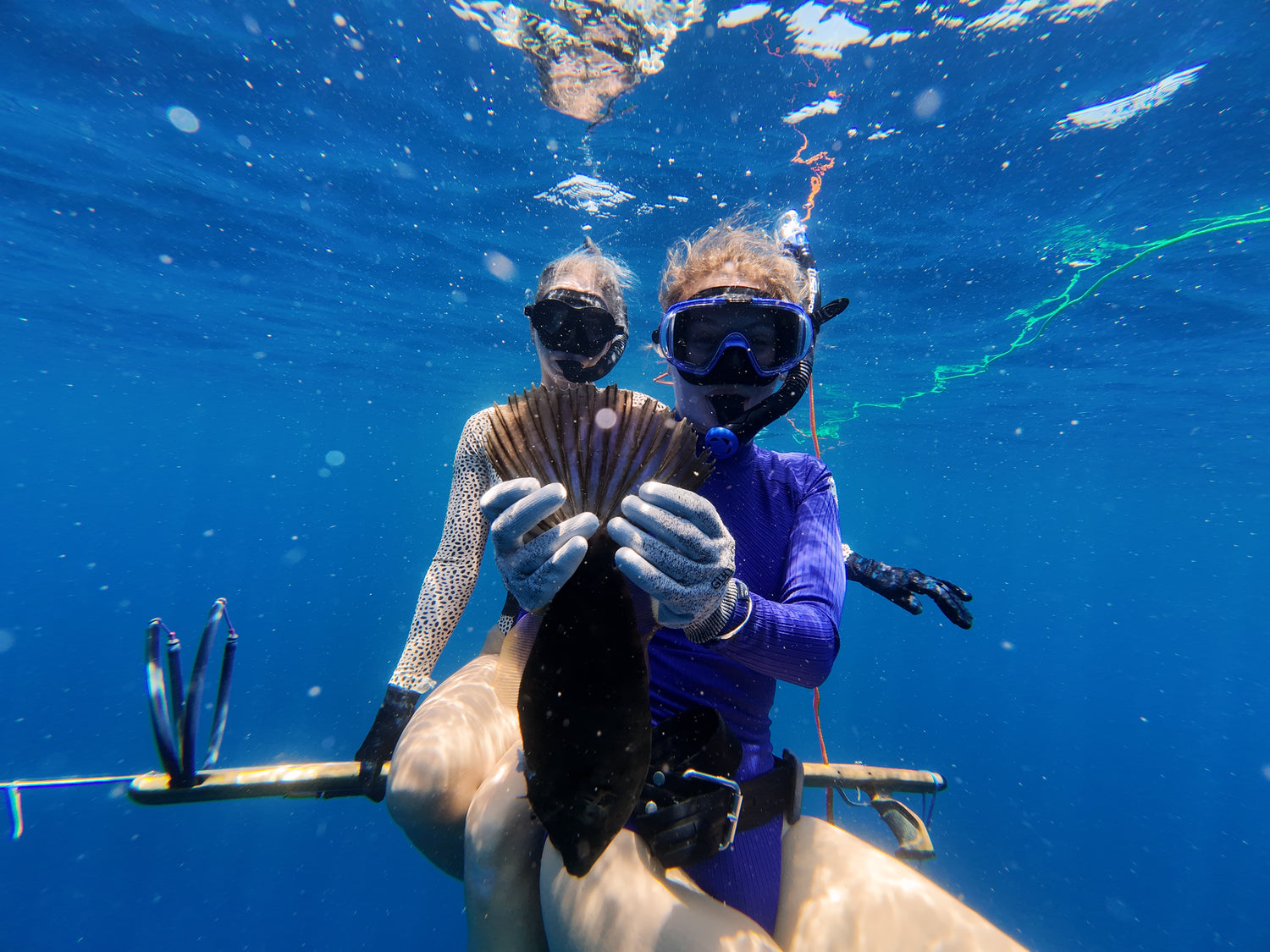 Two women underwater posing with a speargun and a freshy speared oceanic filefish 